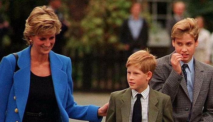 Princess Diana hurt as Harry no longer wingman to Prince William, says friend