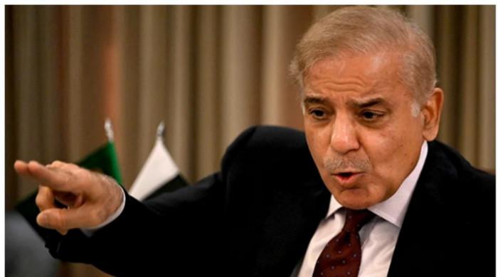 PM Shehbaz terms social media campaign against martyrs 'horrifying'