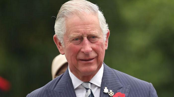 Prince Charles lauds ‘courage, ingenuity and determination’ of Jamaicans