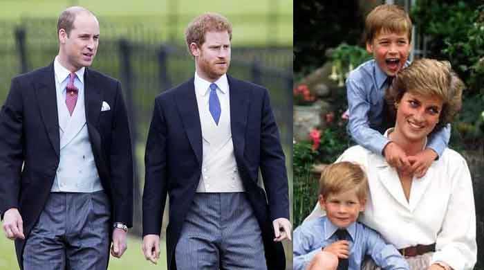 'Prince Harry doesn’t want to be seen as his brother and father'