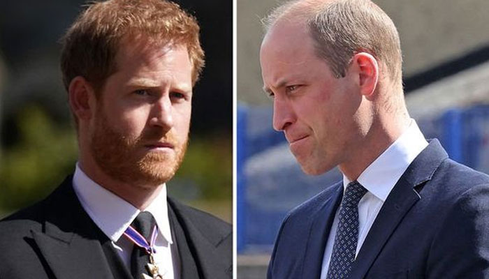 Prince Harrys upcoming book is big cloud for William in their relationship