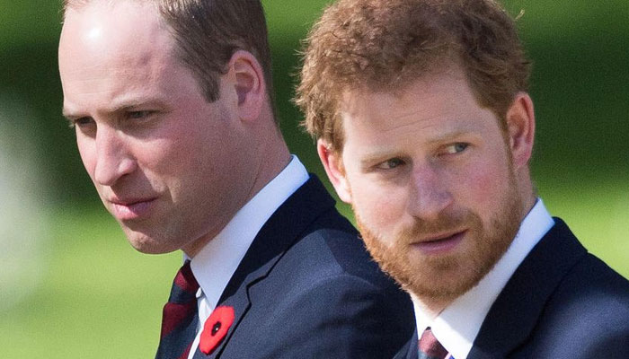 Prince Harry, William ‘heading separate ways’: ‘Unworkable!’