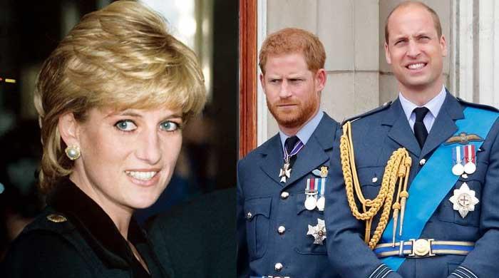 Prince Harry will return as an 'operational prince of the realm', claims Diana's bodyguard
