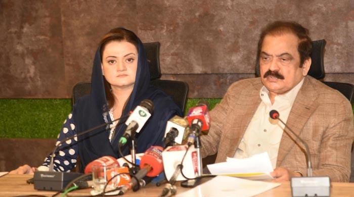 Shahbaz Gill's comments part of planned conspiracy to create division within military: Rana Sanaullah