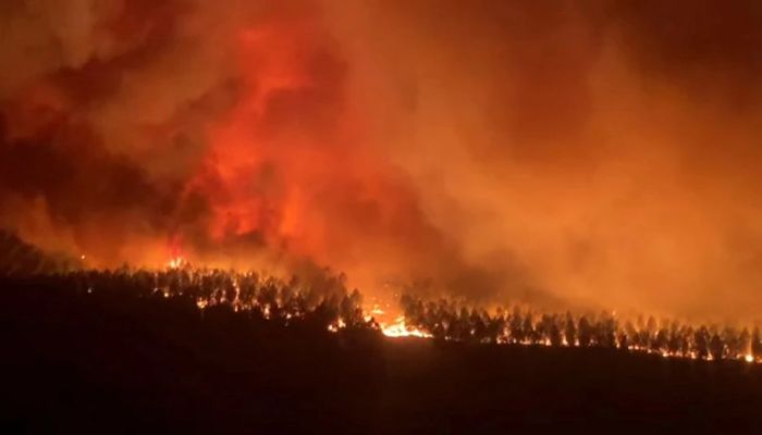 Flames engulf trees during a fire in Hostens, as wildfires continue to spread in the Gironde region of southwestern France, in this screen grab taken from a handout video August 9, 2022. — Reuters