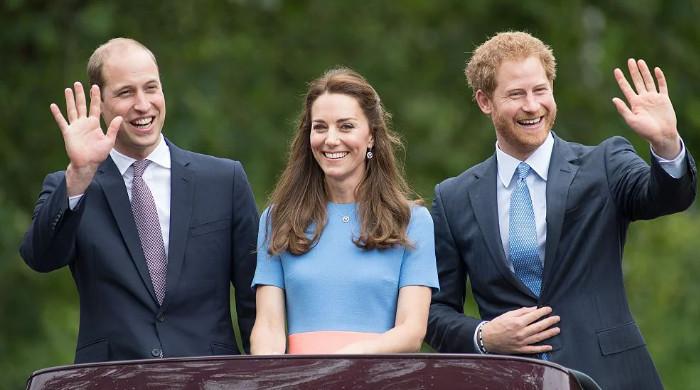 Kate Middleton wants Prince Harry, William to ‘sit down and resolve differences’