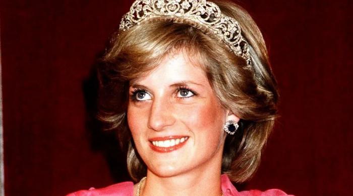 Princess Diana ‘unlike anyone’ in the Royal Family, claims former bodyguard