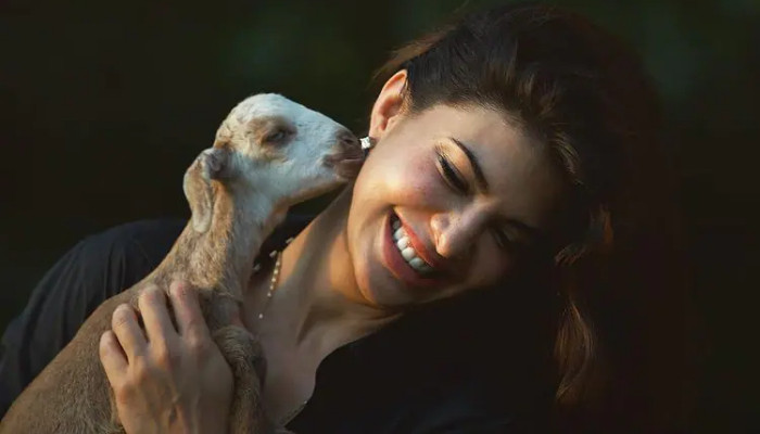 Jacqueline Fernandez celebrates birthday at animal shelter