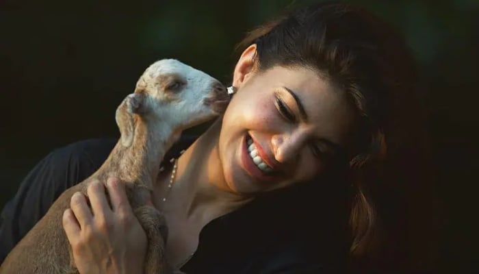 Jacqueline Fernandez kept it simple and decided to celebrate her birthday at an animal shelter this year