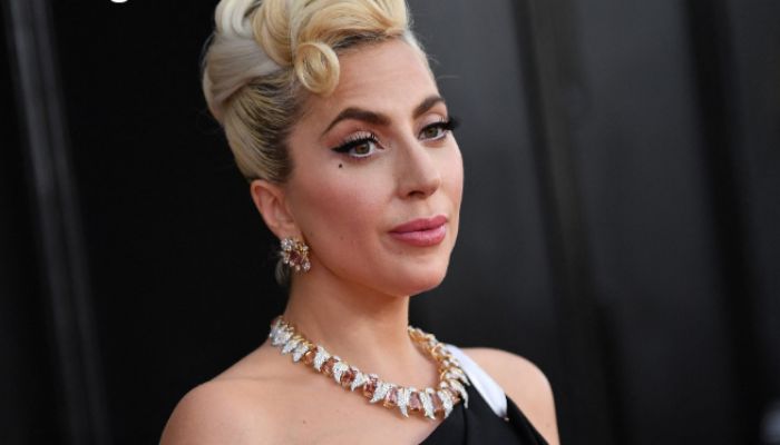 Second Lady Gaga dog-napper jailed