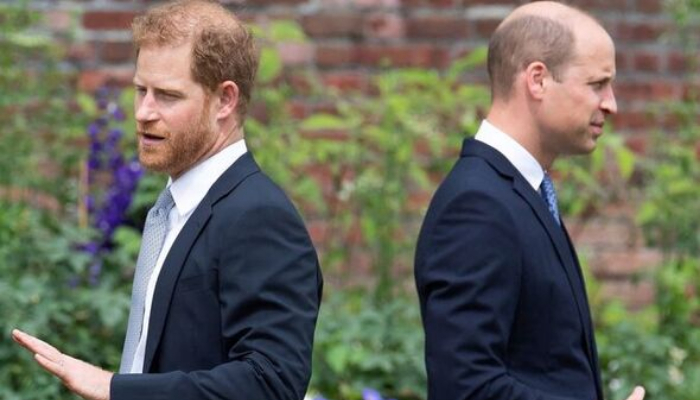 Prince Harry allegedly ‘tried to ruin monarchy’ and Prince William is now planning his US visit strategically