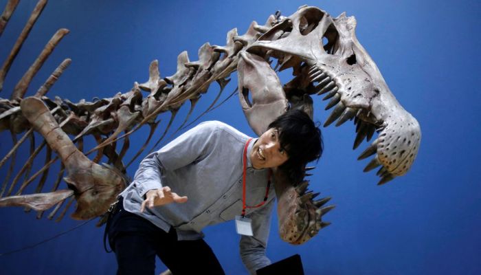 A reporter poses with a Spinosauruss skeleton replica during a preparation and media preview for the Dinosaur EXPO at the National Museum of Nature and Science in Tokyo, Japan, March 1, 2016.— Reuters