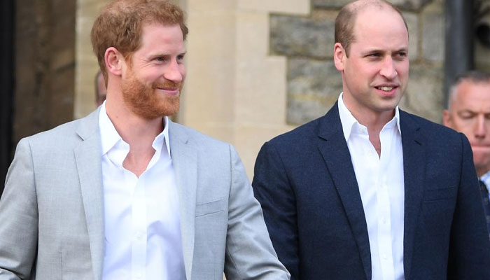 Prince Harry ‘paranoid’ that Prince William will ‘rob his dwindling fans’