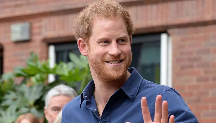 Prince Harry’s story about ‘men in grey suits’ could be refuted