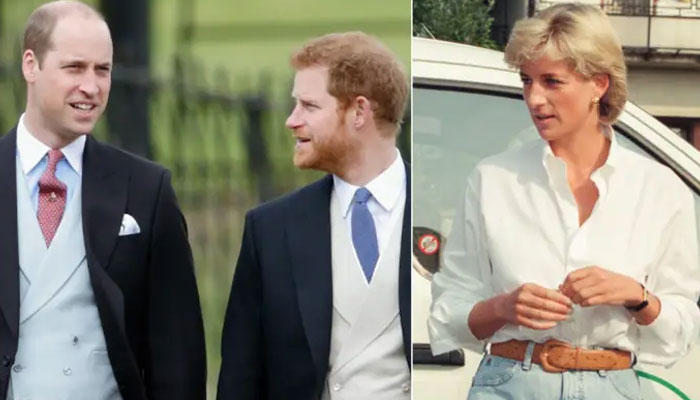 William, Harry ‘kept in dark’ about new doc on Princess Dianas death