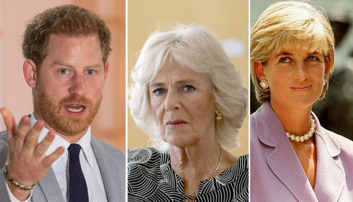Prince Harry ‘only writing’ memoir to seek Diana’s revenge from Camilla