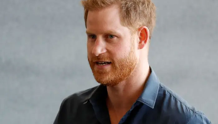 Prince Harry ‘a global assault on democracy and freedom’: report