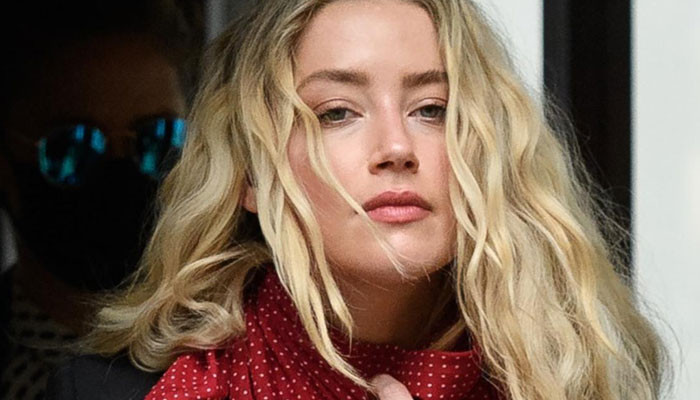 Amber Heard 'fired' PI over 'awful' intel on Johnny Depp: 'Everybody said good things' - Vimarsana News