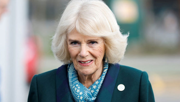 Camilla received ‘help to stop public fury before marrying Prince Charles
