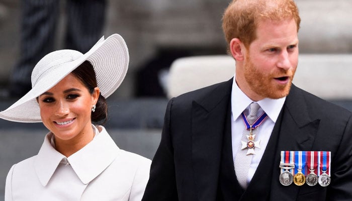 Meghan and Harry to put forward their side after Revenge book