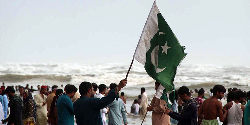 Man waves flag on a beach. — Online