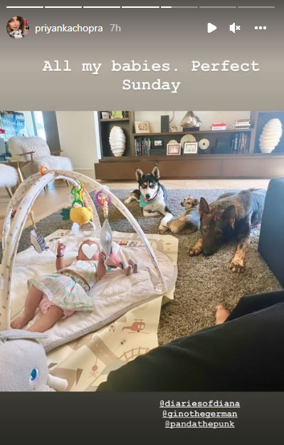 Photos: Priyanka Chopra reveals the idea of her ‘perfect Sunday’ on social media