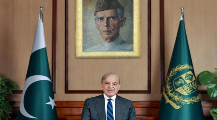 In 2022, Pakistan finds itself mired in its latest economic crisis: PM Shehbaz