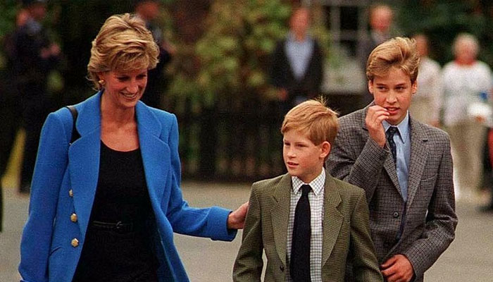 Prince William protected Prince Harry from Princess Dianas tearful trauma