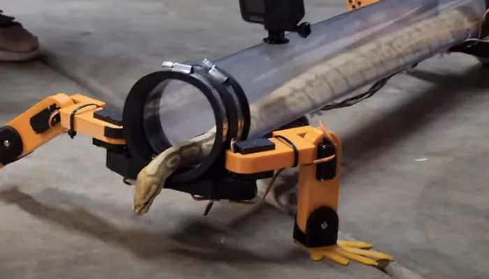 Snake with robot legs. —  Screengrab via YouTube