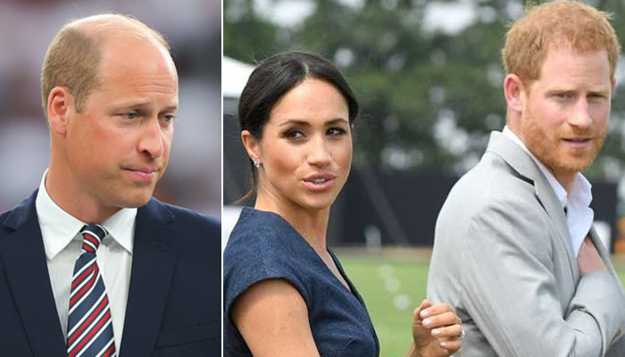 Prince Harry, Meghan Markle’s secret meet ups with Prince William leaked