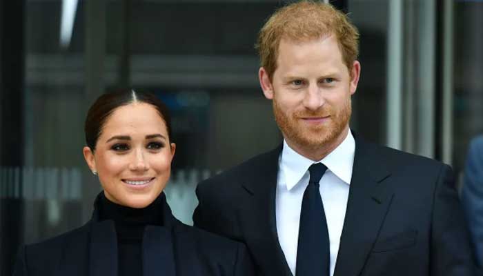 Prince Harry, Meghan Markle trying to smash Royal Family and the monarchy down, claims Angela Levin