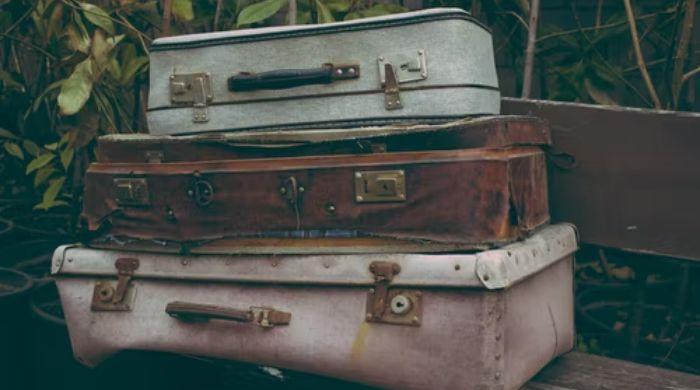'Wicked smell': Human remains found in old suitcase bought at auction