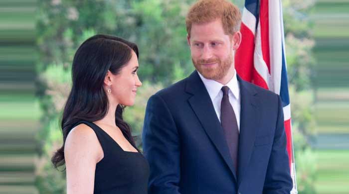 Prince Harry, Meghan Markle 'trying to smash Royal Family and the monarchy down', claims Angela Levin