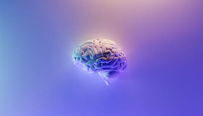 Illustration of human brain.— Unsplash