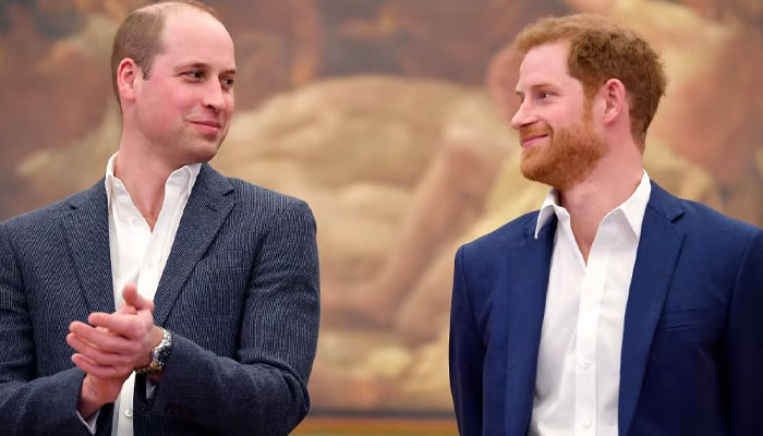 Prince William made ‘conscious decision’ to put The Firm ahead of Harry