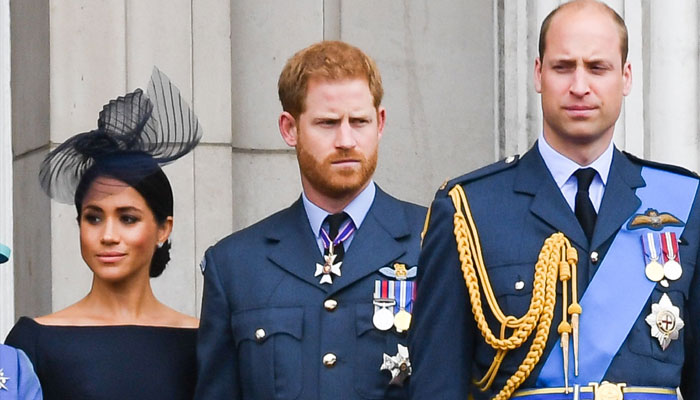 Prince Harry, Meghan Markle ‘stuck near the bottom’ of royal ladder