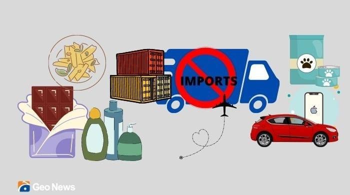 ‘Too early’, ‘nothing major’: Experts on govt's move to scrap import ban