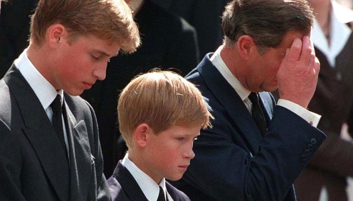 Diana’s death investigator recalls first moments with grieving Prince William, Harry