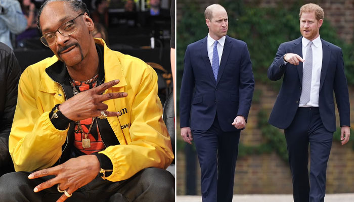 Inside Prince William and Harrys friendship with Snoop Dogg