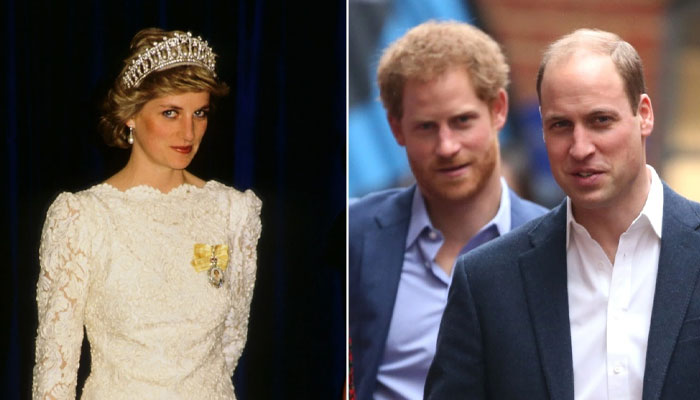 Diana would be ‘saddened by the break with’ Harry and William