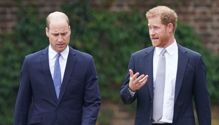 Prince Harry and William’s differences to get ‘worse’