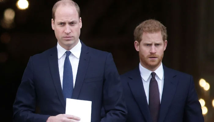 Prince William, Harry’s tensions ‘reaching boiling point’: report