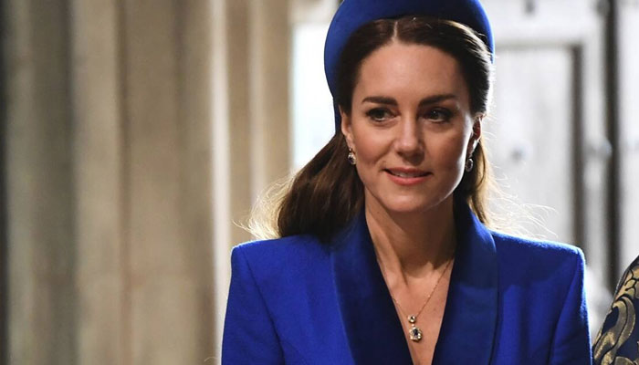 Kate Middleton creates buzz on board as she takes economy flight