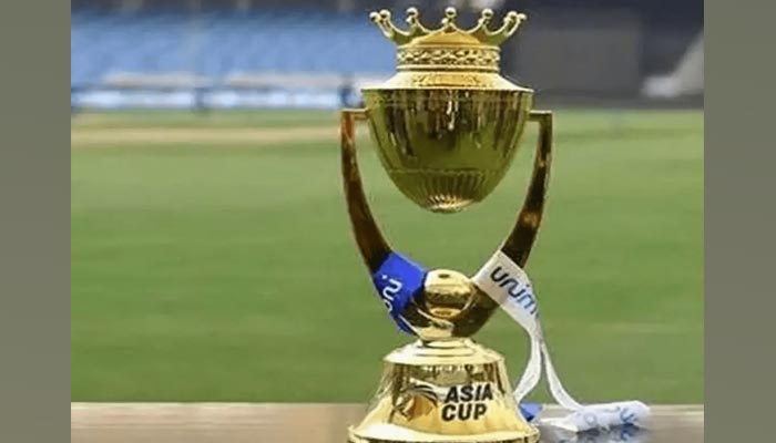 A representational image of the Asia Cup trophy. — AFP/File