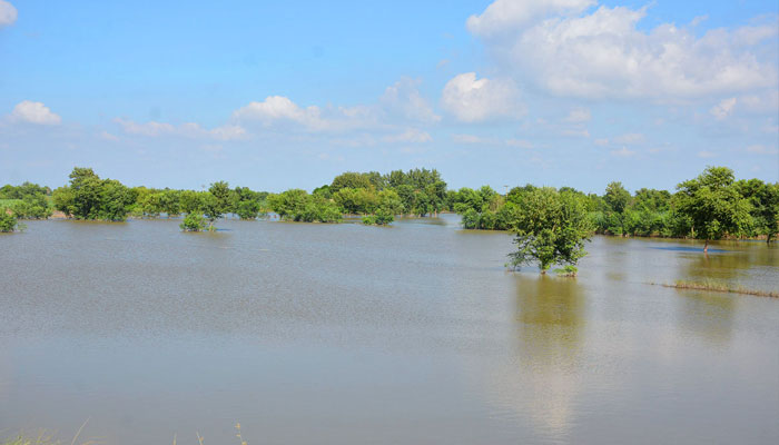 A view of farm fields submerged in flood water in Faisalabad— APP