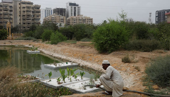 A farmer waters plants at an urban forest plantation project in Karachi, Pakistan, designed to help provide cooling during the summer heat. — Reuters