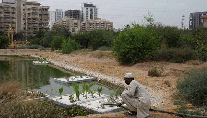 We have solutions to give everyone access to cooling, but we need to act now 11 A farmer waters plants at an urban forest plantation project in Karachi, Pakistan, designed to help provide cooling during the summer heat. — Reuters