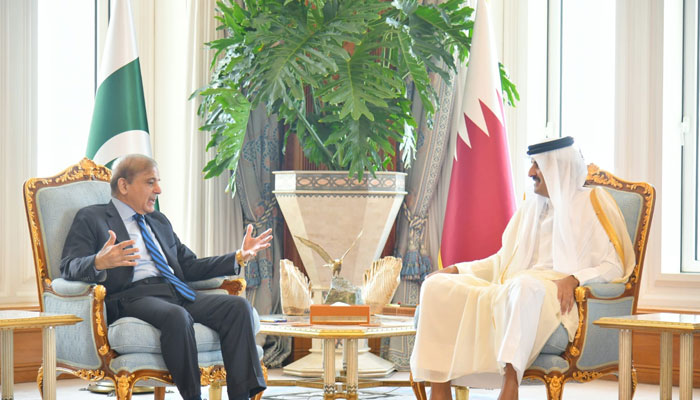 Prime Minister Shehbaz Sharif in a meeting with Ameer of Qatar Sheikh Tamim Bin Hamad Al Thani. — PM Office