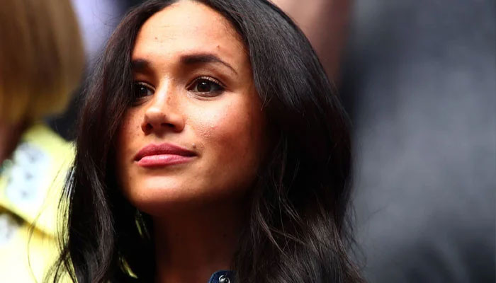 Meghan Markle ‘hatched the perfect plan’ to lead royals as B-list ‘cable TV soap’ star