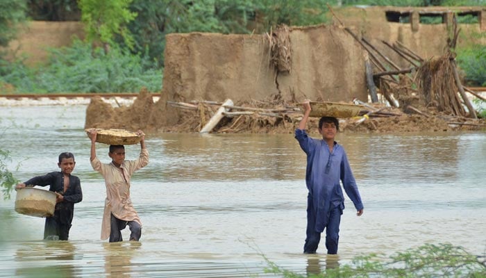 26 اگست 2022 کو صوبہ بلوچستان کے ضلع جعفرآباد میں مون سون کی شدید بارشوں کے بعد لڑکے سیلاب سے متاثرہ علاقے سے گزرتے ہوئے جانوروں کا چارہ لے جا رہے ہیں۔ — اے ایف پی
